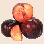 Plum - Imported