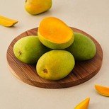 Mango Alphonso, Ratnagiri