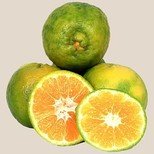 Orange - Nagpur, Small (Loose)