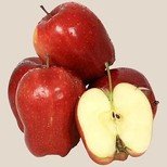 Apple Red Delicious Jonagored Premium, Institutional