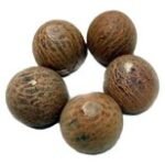 Betel Nut