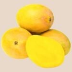 Mango - Ratnagiri