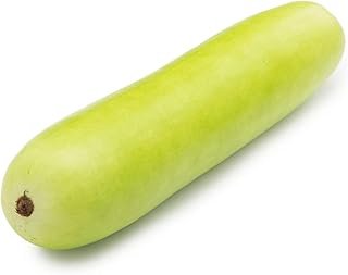 Fresh Bottle Gourd (Doodhi) - 1 Piece (Approx.500-800g)