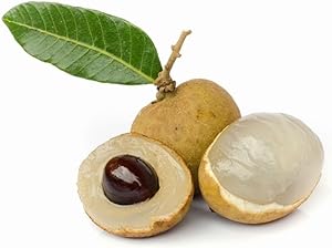 Fresh Pear Beauty Red, (Pack of 2).