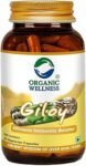 Organic Wellness Giloy Capsules, Natural Giloy, Antioxidant Properties, Purifies Blood Supplement, Immunity Booster, Health and Wellness (90 N Veg Capsules)