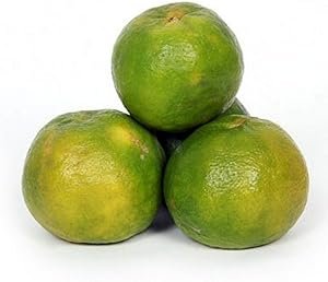 Naturally Grown Fresh Coconut, Medium 1 Piece