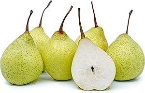 Fresh Kiwi Green, 3 Pcs Pack
