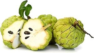 Fresh Coconut - Large 1 Pc (550-650gm).