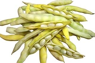 Fresh Beans White 250gm Pack