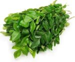Fresh Curry Leaves, 100 grams Bunch