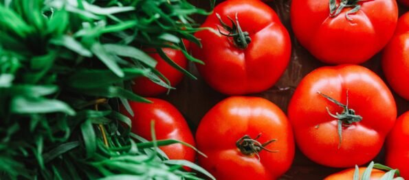 Organic vs Conventional Foods